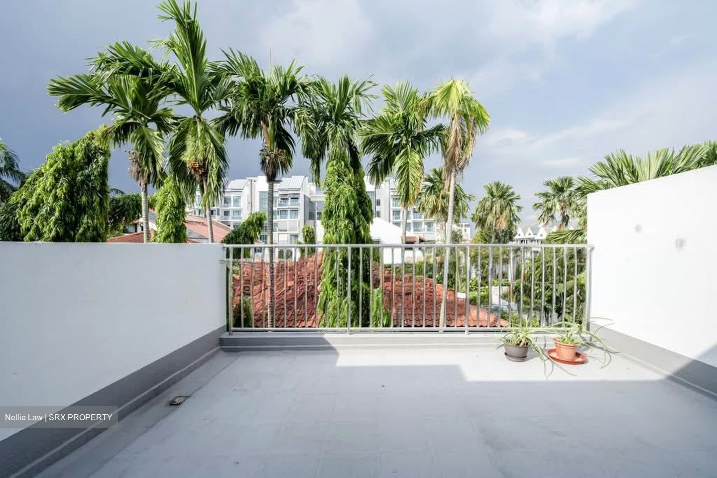 Palm Grove Regency (D19), Terrace #554423181